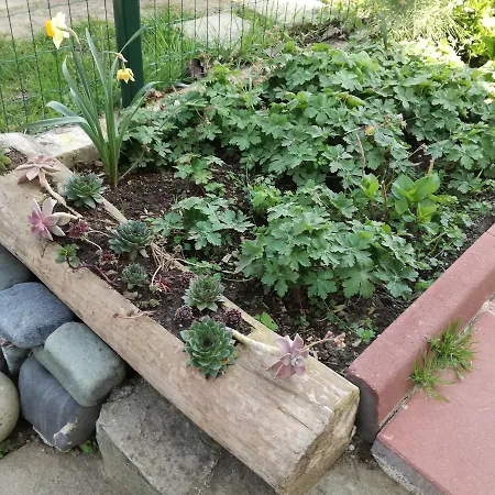 Fanny Синеморец