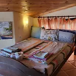 Fanny Guest house