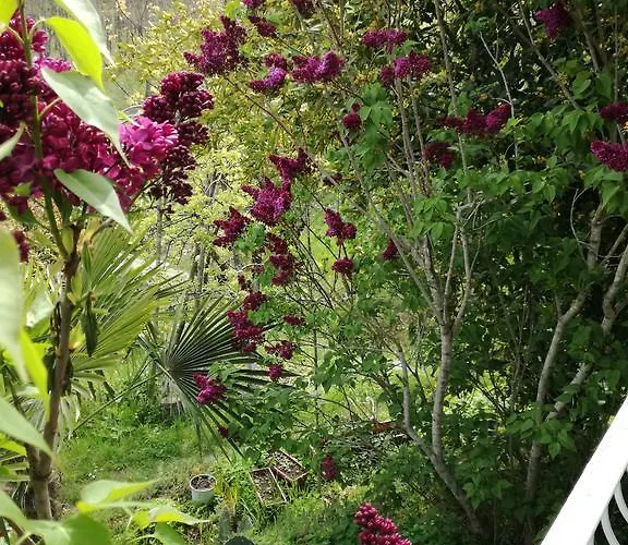 Fanny Vendégház 2*