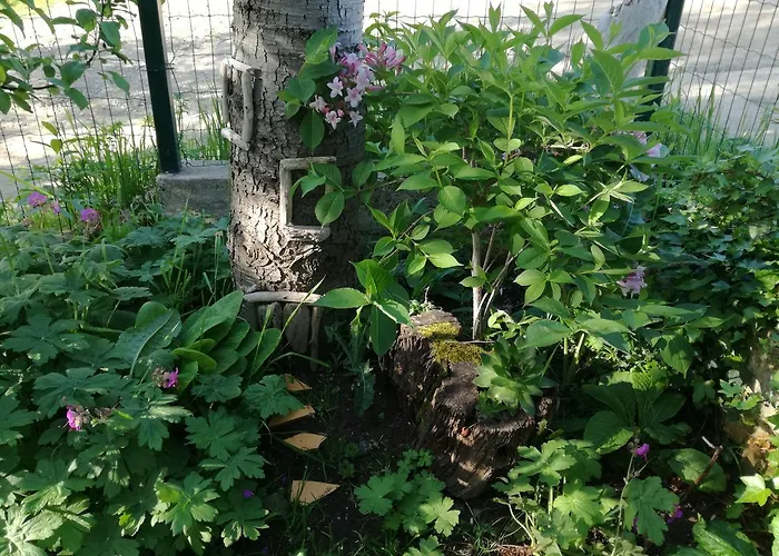 Vendégház Fanny 2*